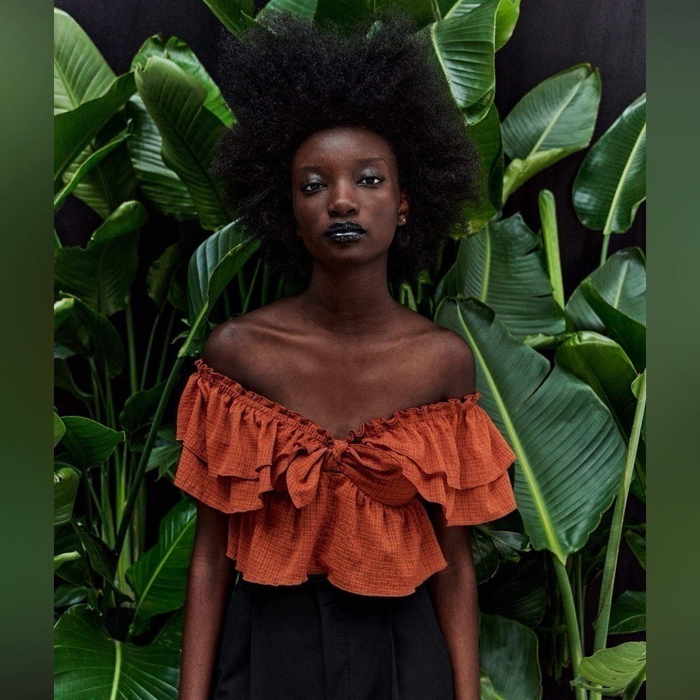 Zara Rust Orange Ruffled Off-Shoulder Crop Top
